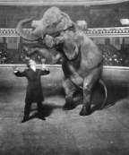 What Elephant? The Media Again Buries A Hunter Biden Scandal on Foreign Deals During the Biden Vice Presidency - Vimarsana News